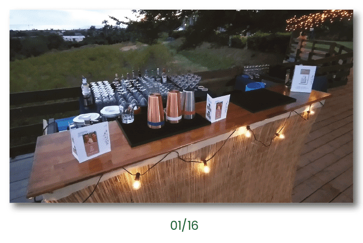 Diverses photos du Shaker en action, du bar, des invités, etc.